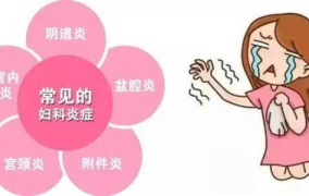 女性生理疾病,常见疾病解析与预防策略